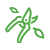 Hedge Trimming Service